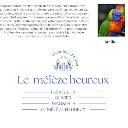 L Olivier Casa de Férias *